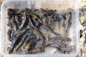 Description: C:UsersUserDropbox (CARAH)LIFE ELIAD. Communication et formationD1 Site Web�2 NewsVersion de travail_Indicateurs 2015�1 Illustrations2015-04-21_10-46-35.jpg