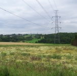 Prairies fleuries allégées