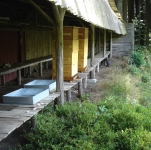Prairies fleuries allégées